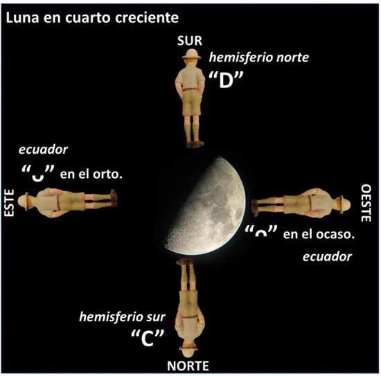 Tintín, de espaldas, mira a la Luna en cuarto creciente al fondo de la imagen. (Croquis del autor; fotografía de la Luna,“El coleccionista de Instantes”, Flickr; y fotografía del autor de figura, Colección Aviones de Tintín).
